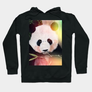 Panda Bear Hoodie